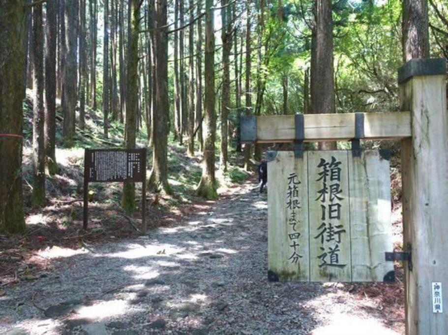 فيلا Ek House Hakone Shushinso 箱根修身荘 المظهر الخارجي الصورة