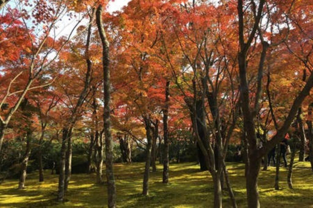 فيلا Ek House Hakone Shushinso 箱根修身荘 المظهر الخارجي الصورة